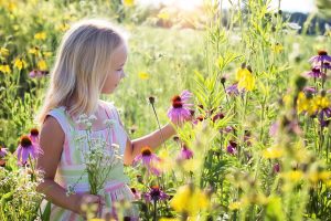 little girl wildflowers meadow 2516578